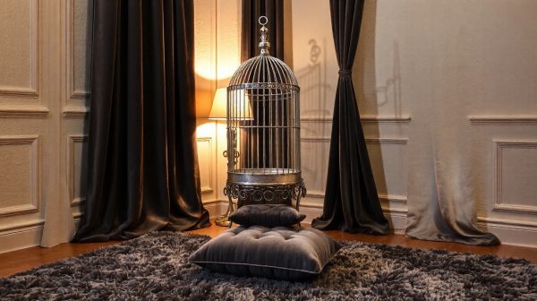 Top 5 cages de chasteté selon votre expérience personnelle